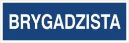 BRYGADZISTA
