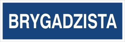 BRYGADZISTA