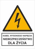 KABEL WYSOKIEGO NAPIĘCIA. NIEBEZPIECZEŃSTWO DLA ŻYCIA