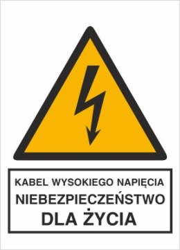 KABEL WYSOKIEGO NAPIĘCIA. NIEBEZPIECZEŃSTWO DLA ŻYCIA