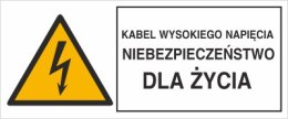 KABEL WYSOKIEGO NAPIĘCIA. NIEBEZPIECZEŃSTWO DLA ŻYCIA