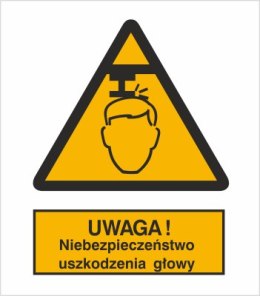 OSTRZEŻENIE PRZED NIEBEZPIECZEŃSTWEM USZKODZENIA GŁOWY