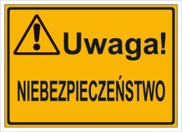 UWAGA! NIEBEZPIECZEŃSTWO