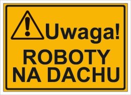 UWAGA! ROBOTY NA DACHU
