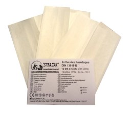 Plaster z opatrunkiem 10x6cm (12szt.)