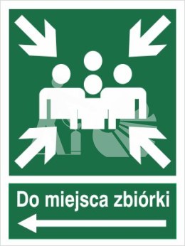 DO MIEJSCA ZBIÓRKI (W LEWO) - płyta sztywna