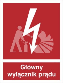 GŁÓWNY WYŁĄCZNIK PRĄDU - folia samoprzylepna