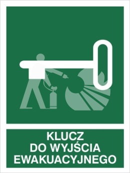 KLUCZ DO WYJŚCIA EWAKUACYJNEGO - płyta fotoluminescencyjna