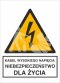 KABEL WYSOKIEGO NAPIĘCIA. NIEBEZPIECZEŃSTWO DLA ŻYCIA - folia magnetyczna