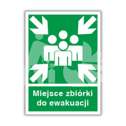 MIEJSCE ZBIÓRKI DO EWAKUACJI - płyta sztywna