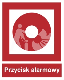 URUCHAMIANIE RĘCZNE - płyta fotoluminescencyjna