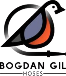 Bogdan Gil